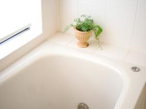 お風呂のピンクの汚れ落とし方