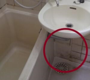 タイル目地につく黒カビの落とし方