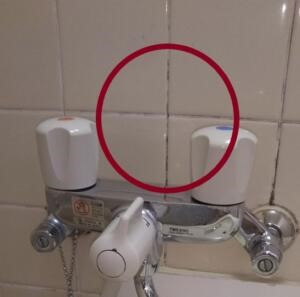 タイル目地につく黒カビ