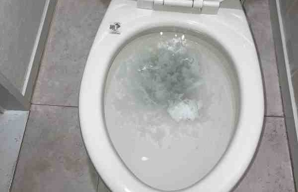 トイレ詰まりを自分で直す方法