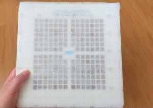 換気扇のフィルターでお手入れ楽々