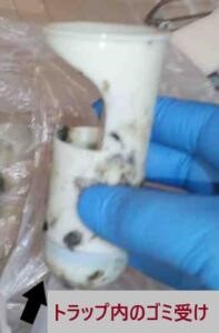 排水ホースからゴミ受けを外し中のごみを捨て、中性洗剤で洗う。