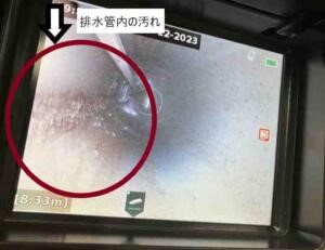 早めに専門の業者に確認してもらうことをおすすめ