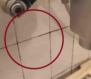 黒カビはアルカリ洗浄剤で掃除