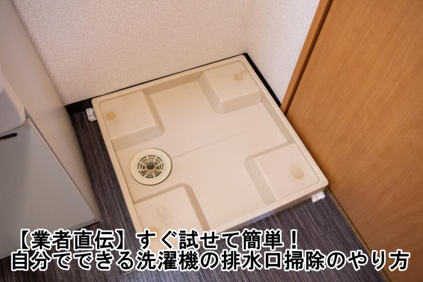 【業者直伝】すぐ試せて簡単!自分でできる洗濯機の排水口掃除のやり方