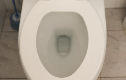 流せるトイレブラシが詰まる主な原因とは？